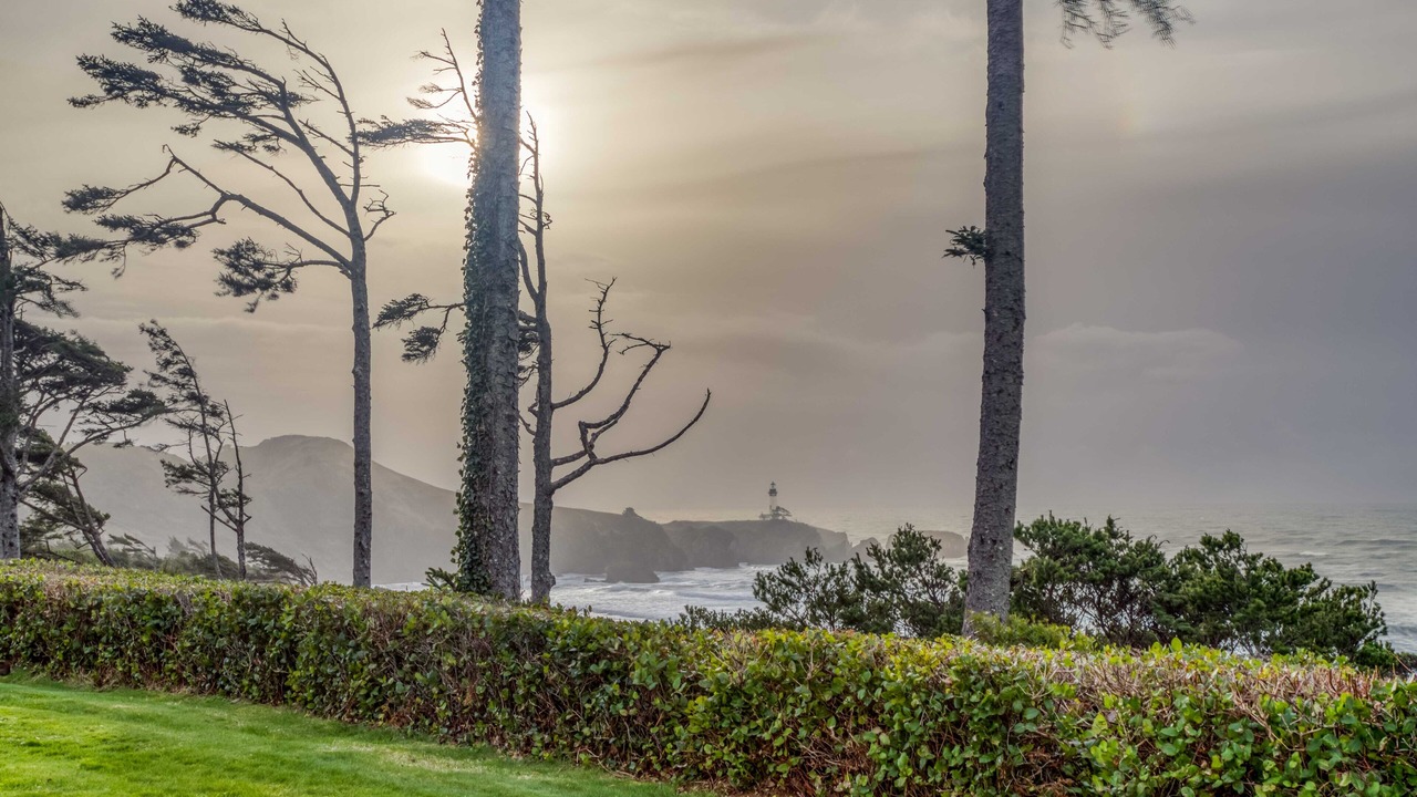 Photo of Others in Agate Beach