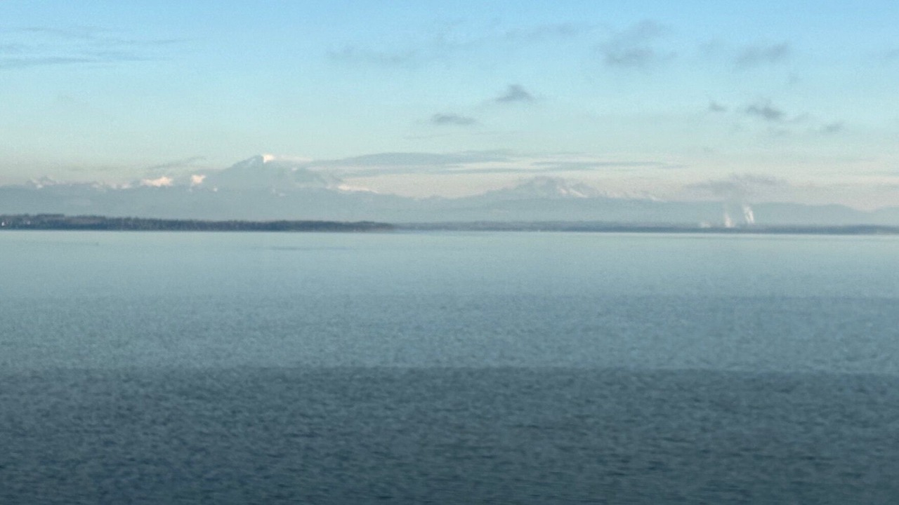 Photo of Others in Point Roberts