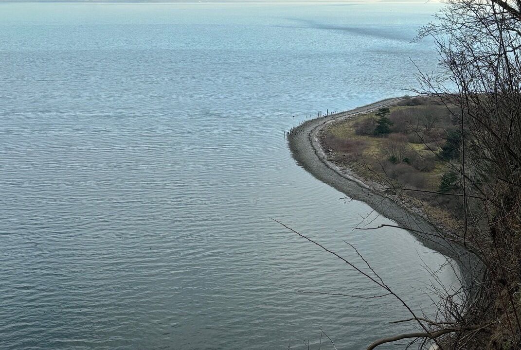 Photo of Others in Point Roberts