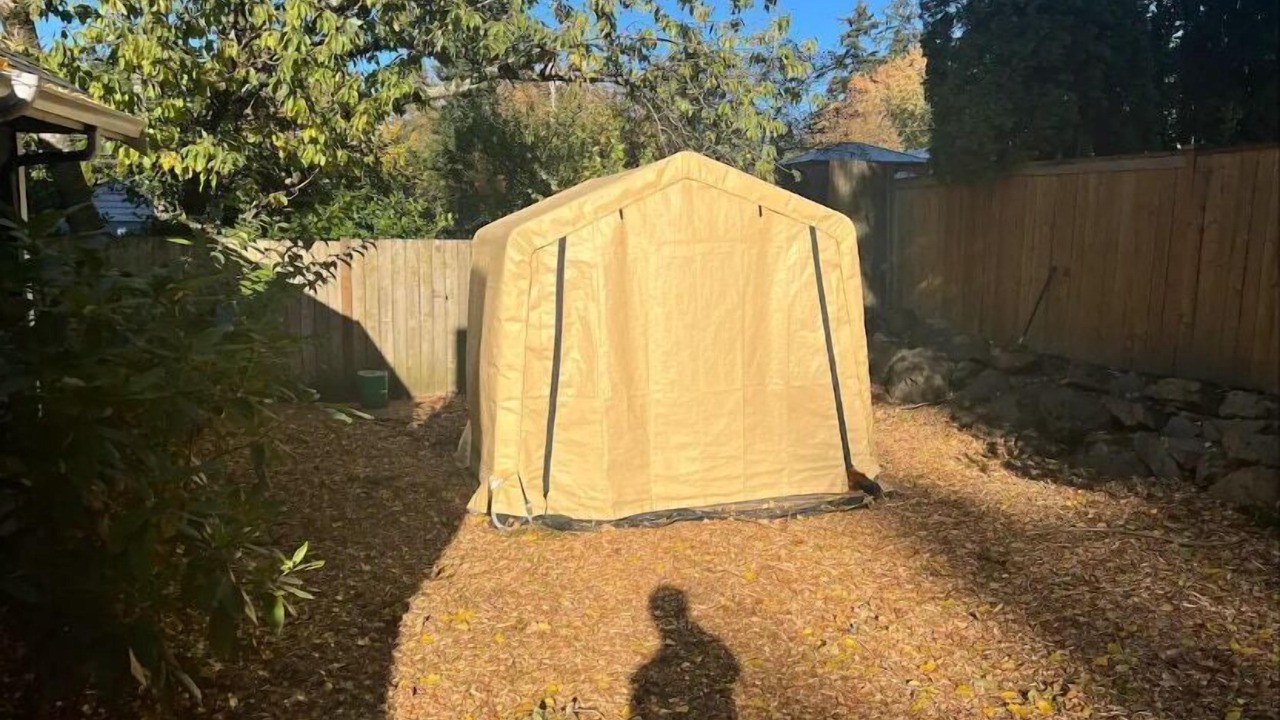Photo of Outdoor in Kirkland
