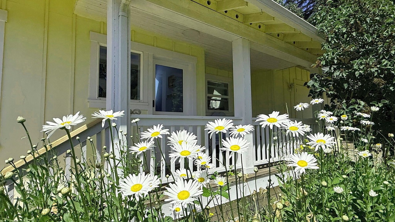 Photo of Outdoor in Rollingbay