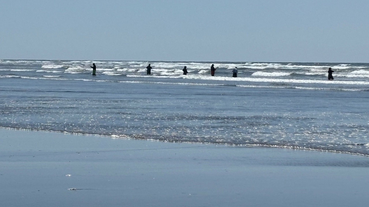 Photo of Others in Grayland
