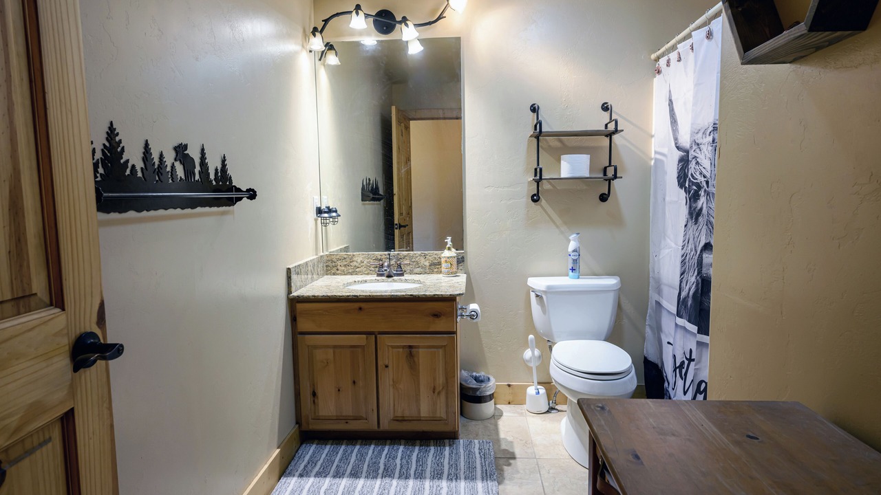 Photo of Bathroom in Driggs