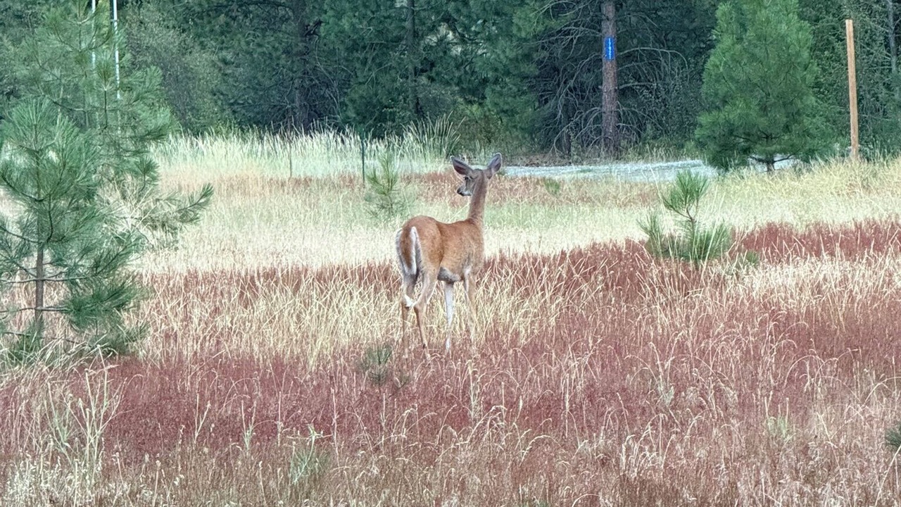 Photo of Others in Mazama