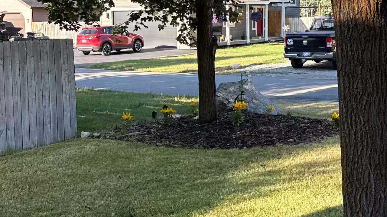 Photo of Outdoor in Alpine
