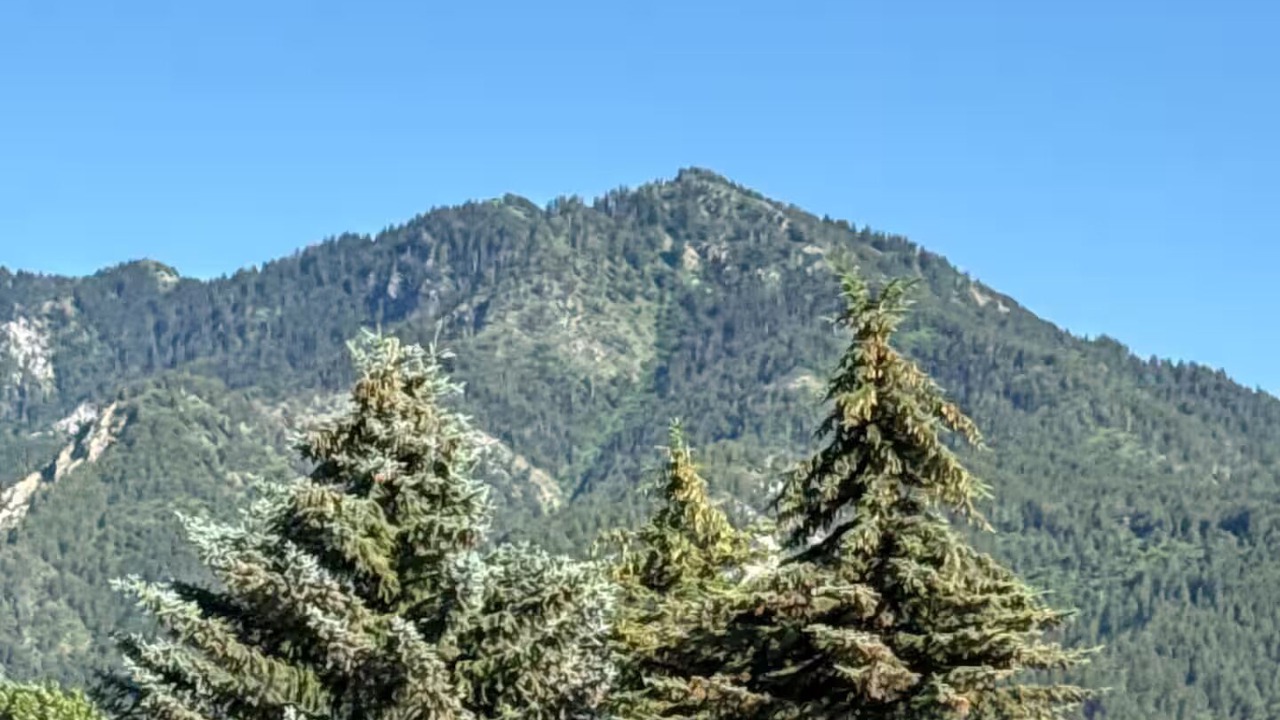 Photo of Others in Alpine