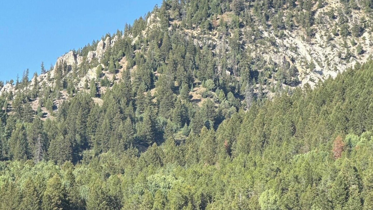 Photo of Others in Alpine