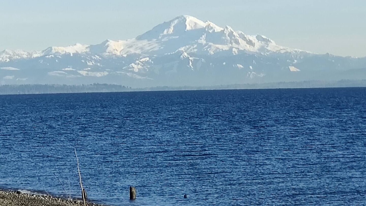 Photo of Others in Point Roberts