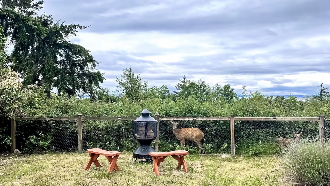Photo of Outdoor in Coupeville
