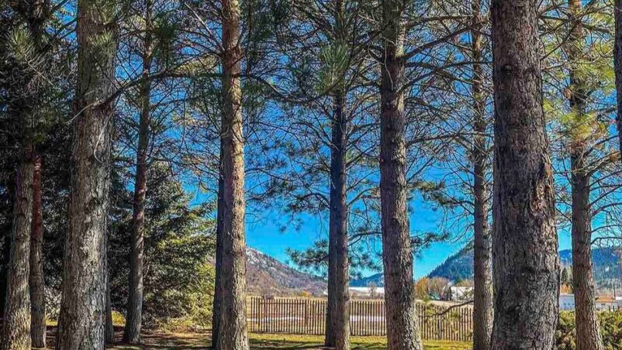 Photo of Others in Palisades