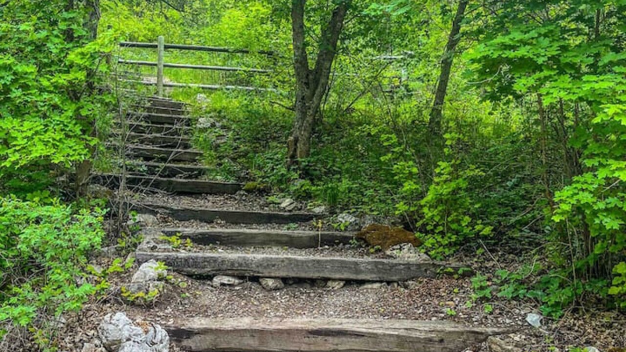 Photo of Outdoor in Palisades