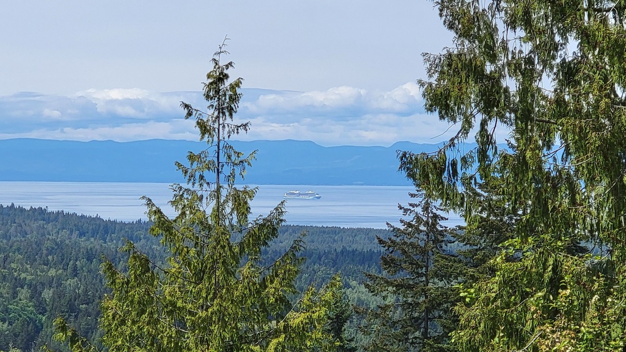 Photo of Others in Port Angeles