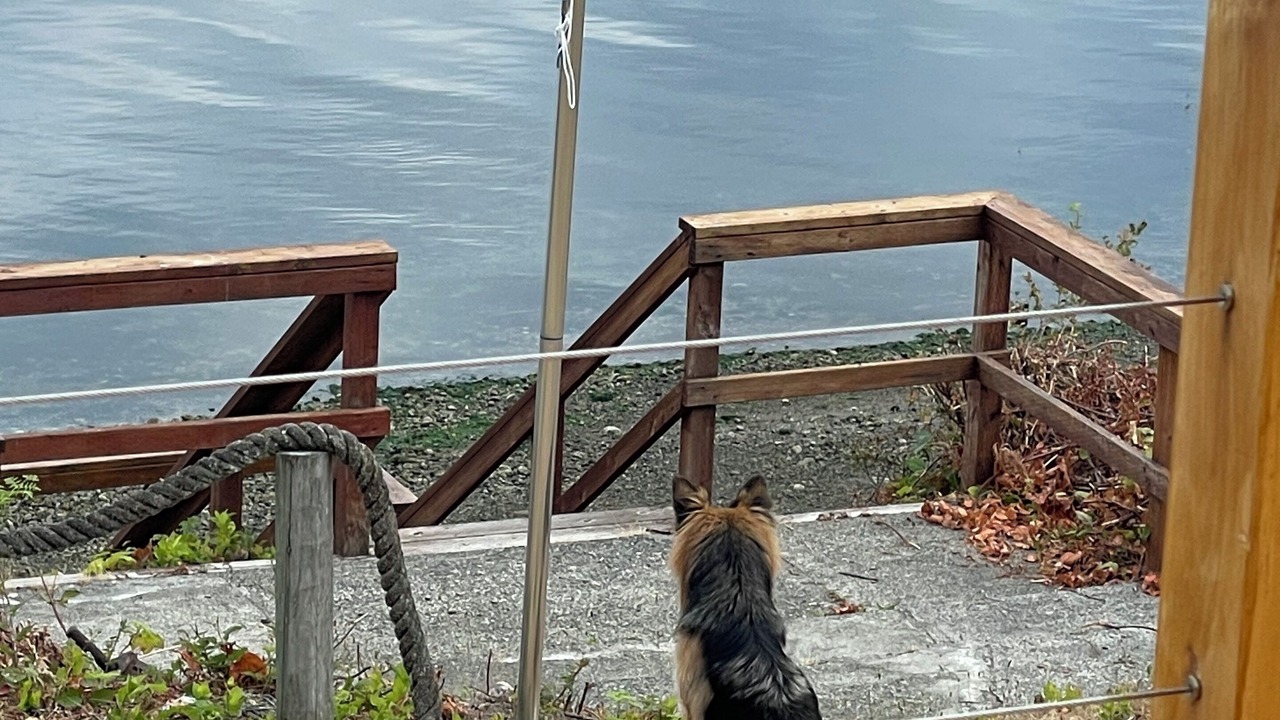 Photo of Outdoor in Anderson Island