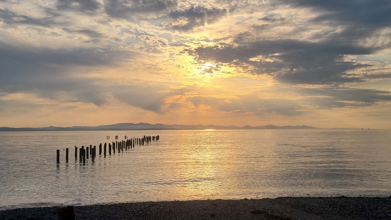 Photo of Others in Point Roberts
