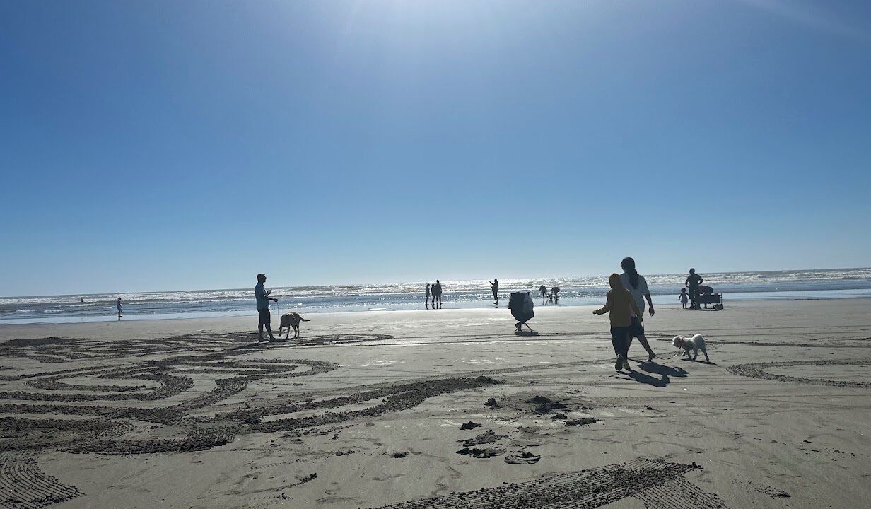 Photo of Others in Ocean Shores