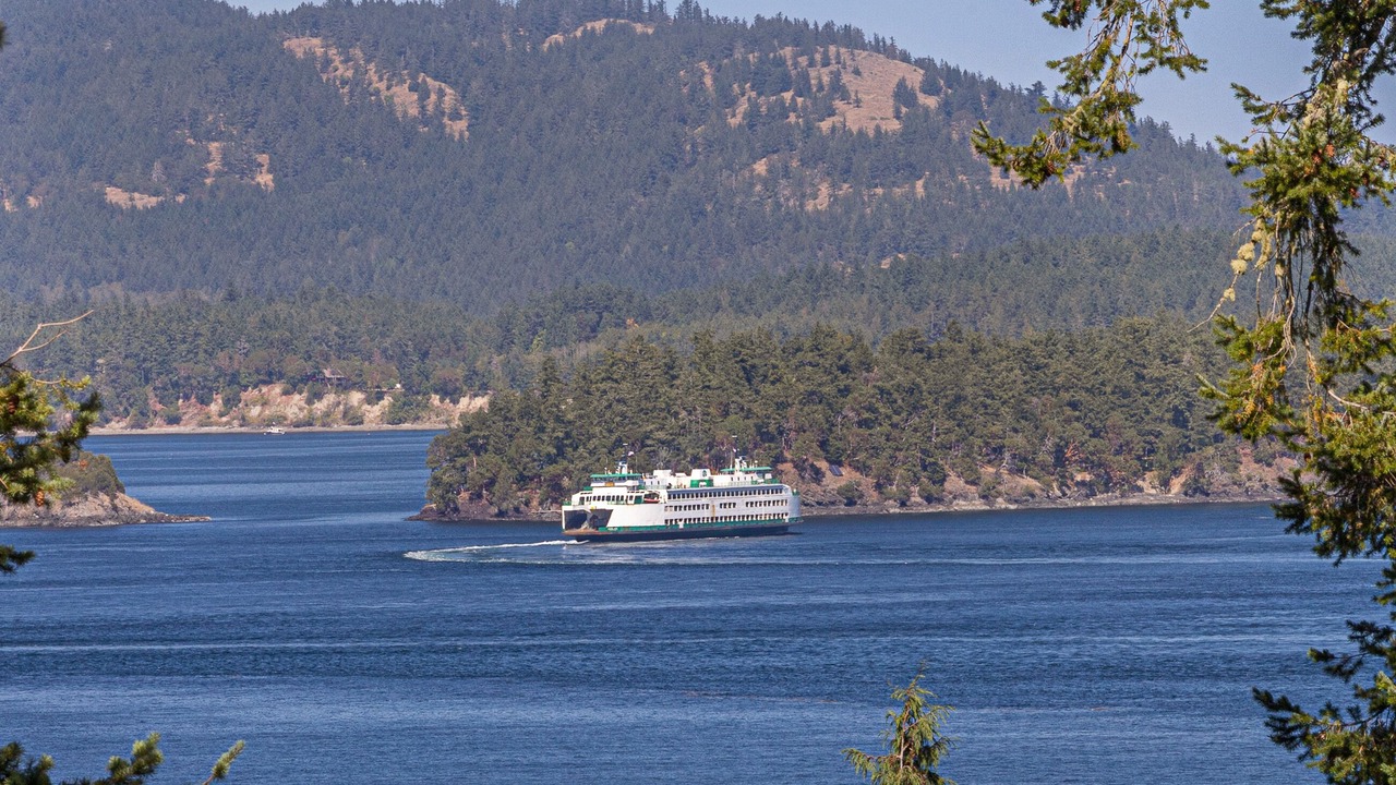 Photo of Others in Friday Harbor