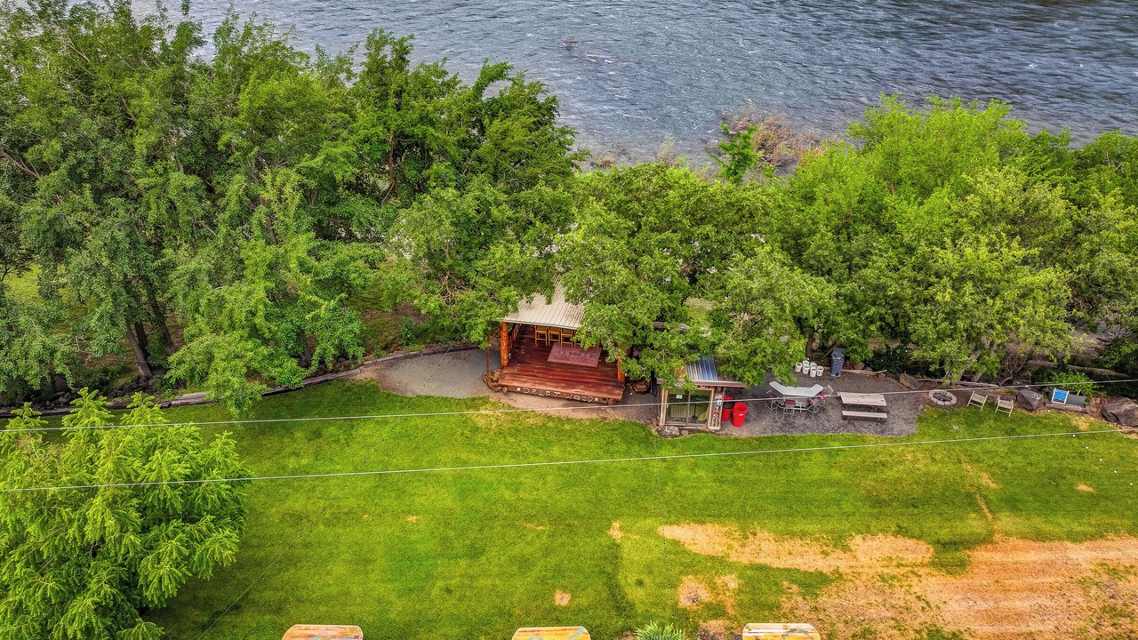 Photo of Outdoor in White Bird