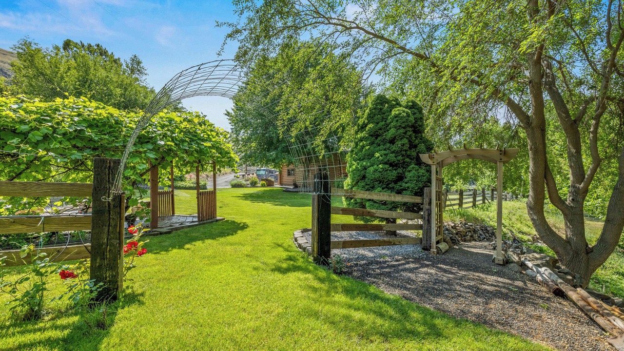 Photo of Outdoor in White Bird
