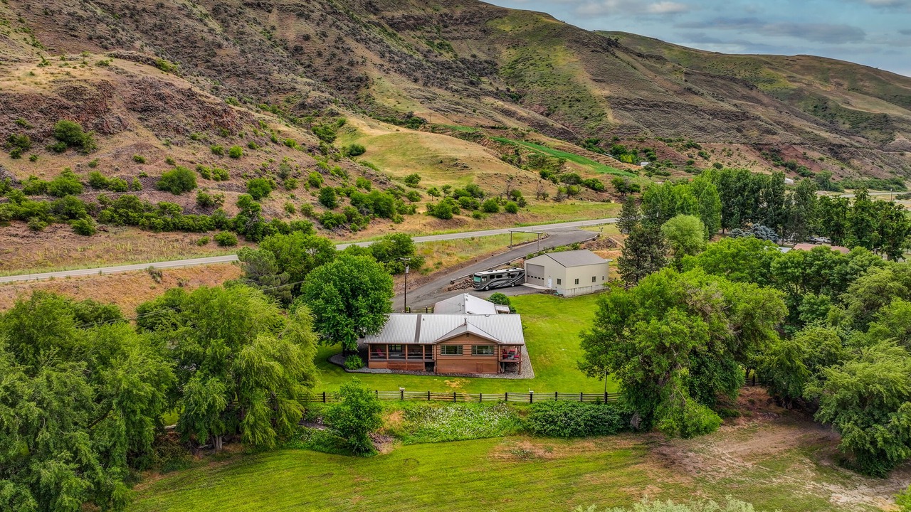 Photo of Outdoor in White Bird