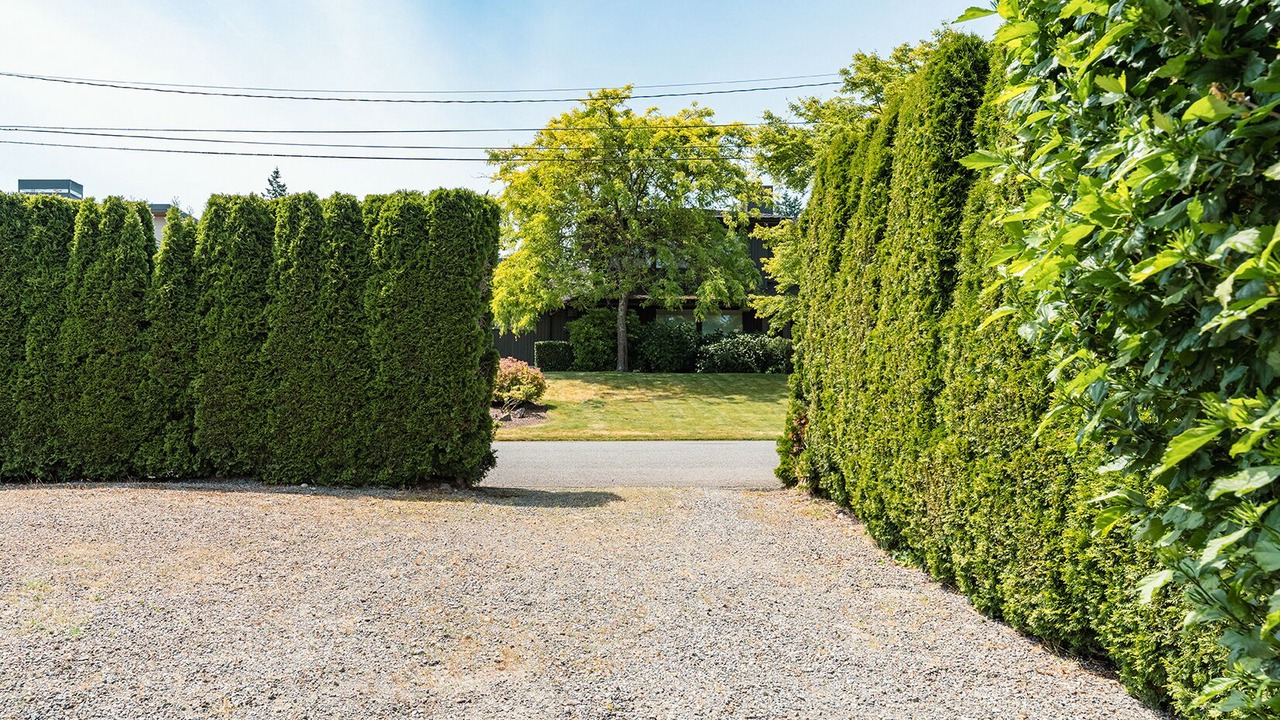 Photo of Others in Northwest Bellevue