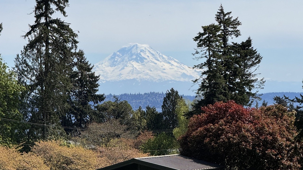 Photo of Others in Bainbridge Island
