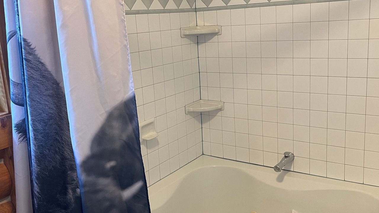 Photo of Bathroom in Victor