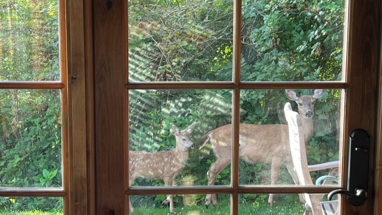 Photo of Others in Friday Harbor