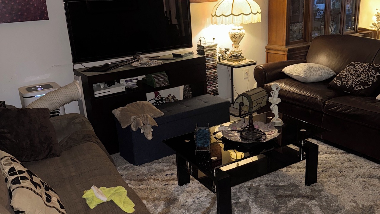 Photo of Livingroom in Lakebay