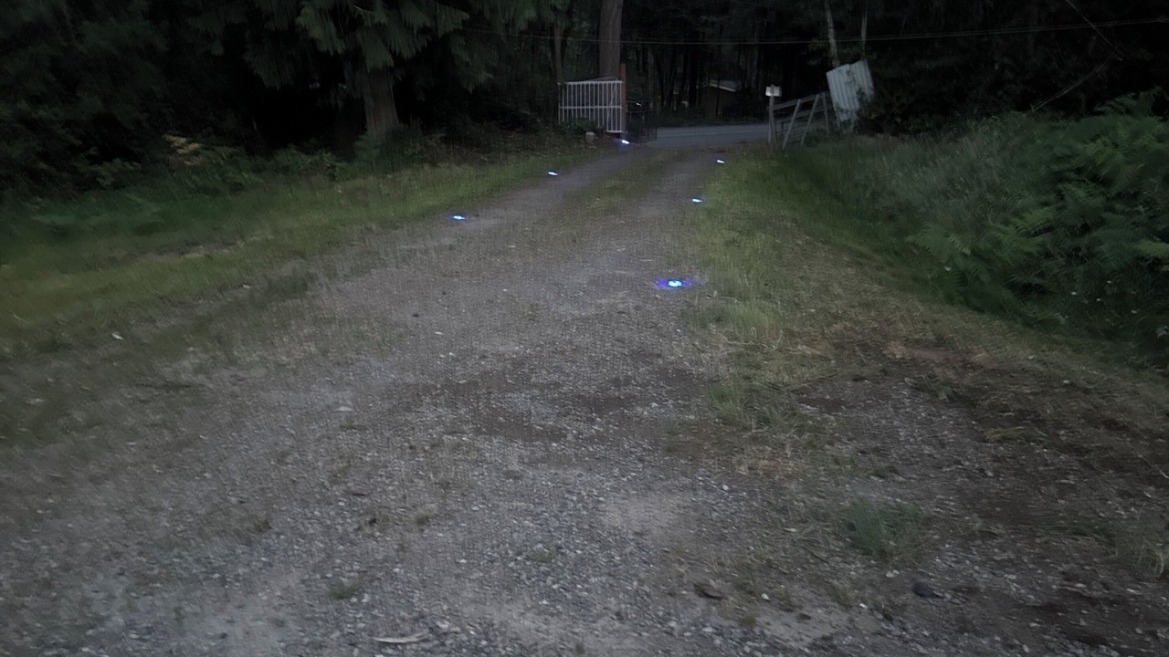 Photo of Others in Lakebay
