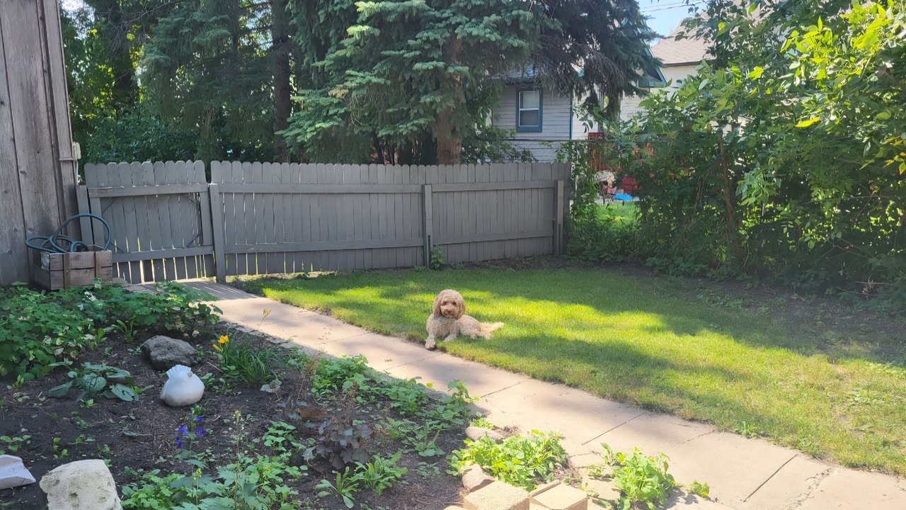 Photo of Outdoor in Devils Lake