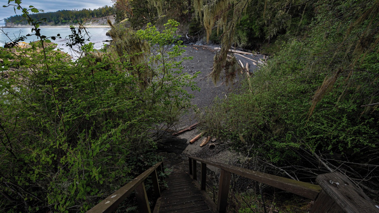 Photo of Others in Lopez Island