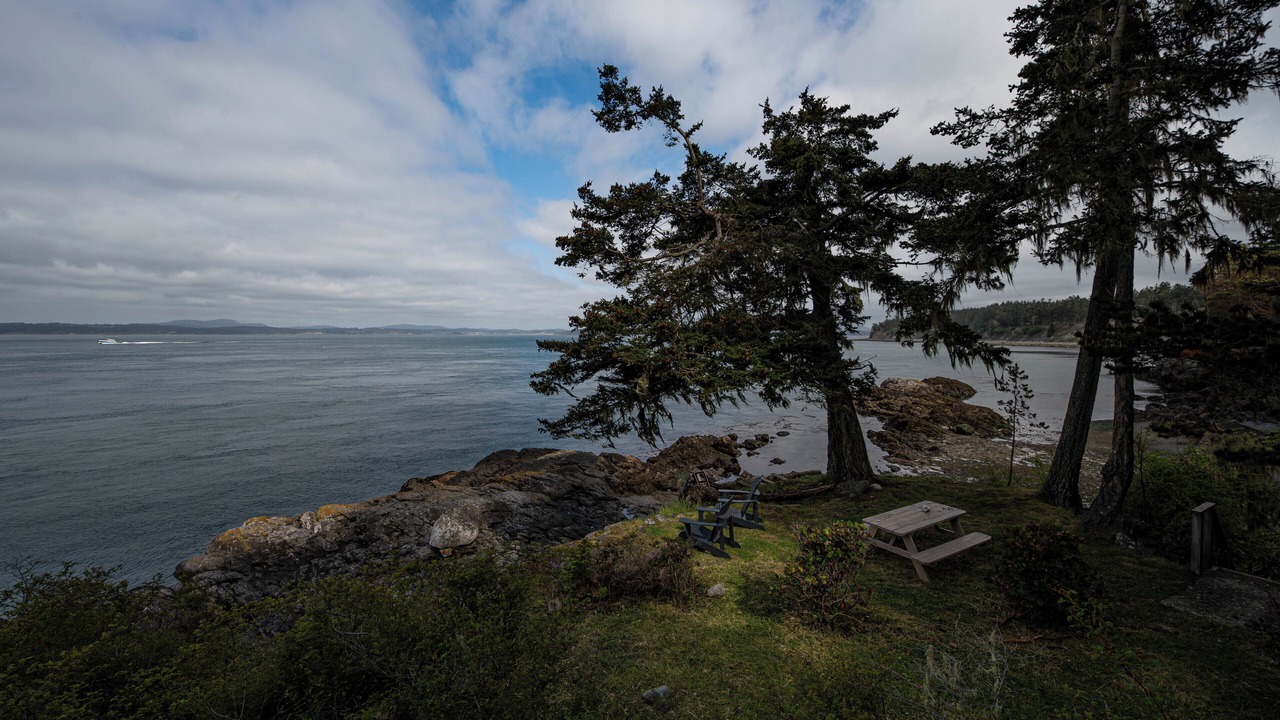 Photo of Others in Lopez Island