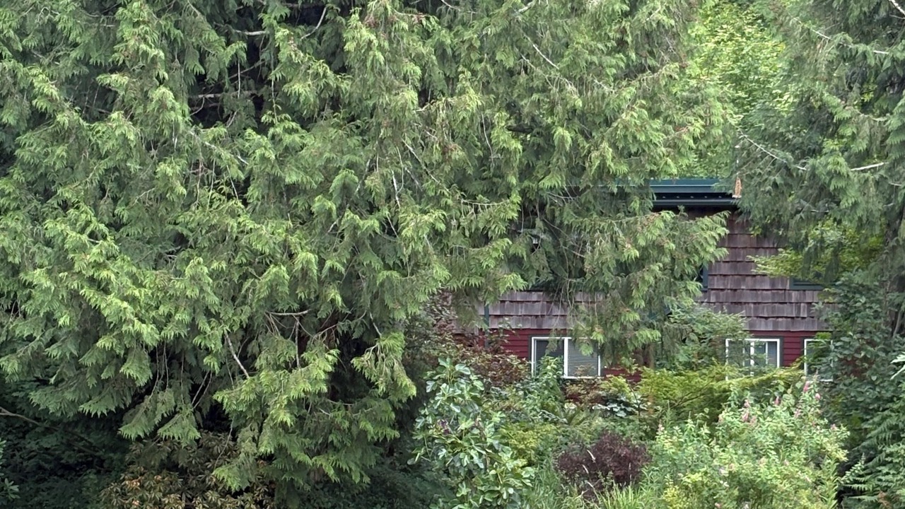 Photo of Outdoor in Deming