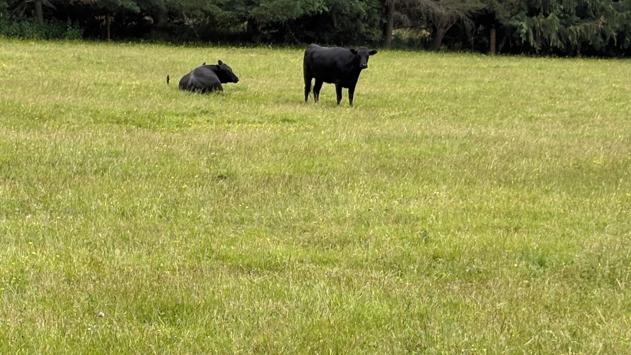 Photo of Others in Deming