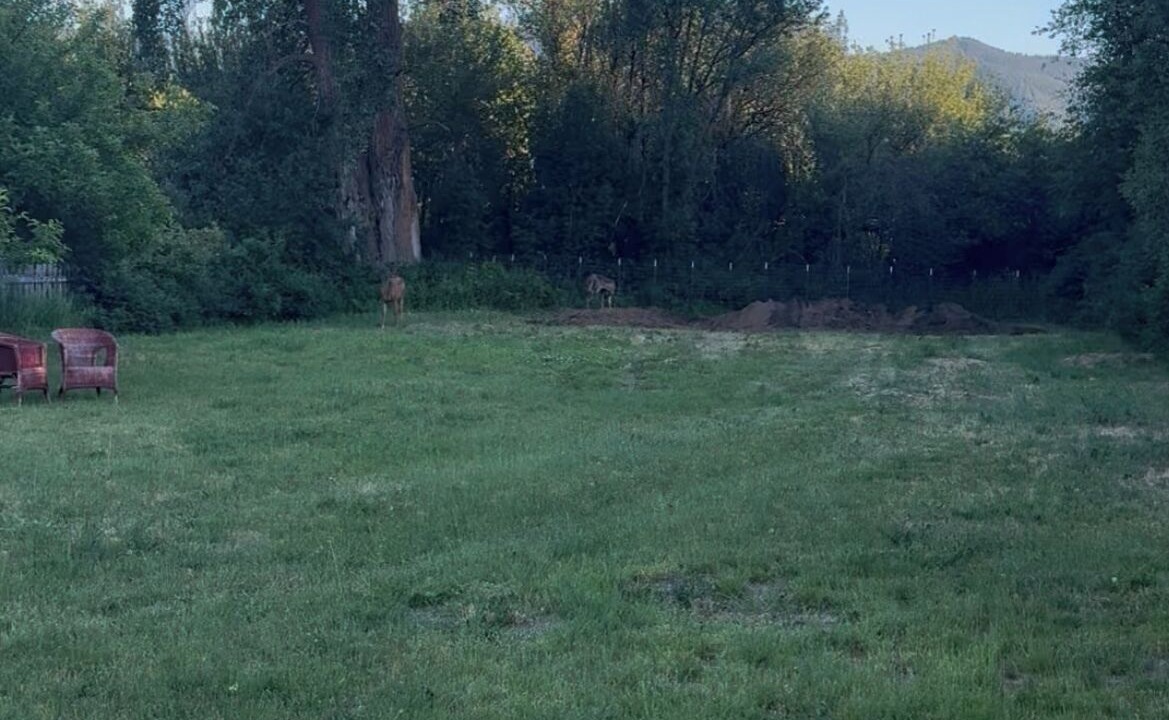Photo of Others in Cle Elum
