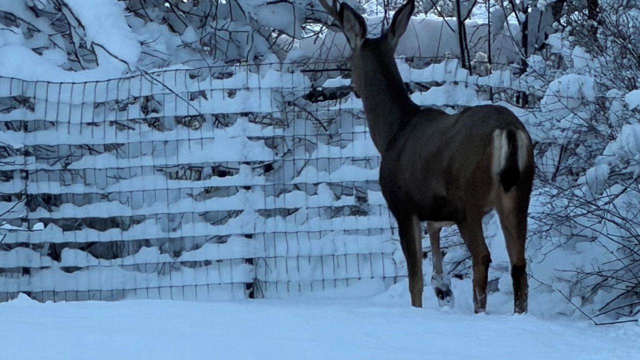 Photo of Others in Cle Elum
