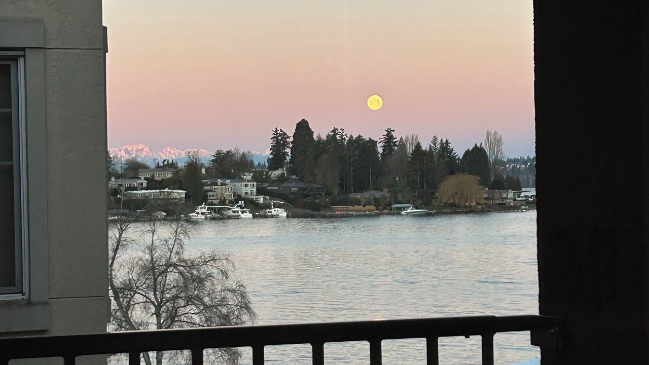 Photo of Outdoor in Lakeview