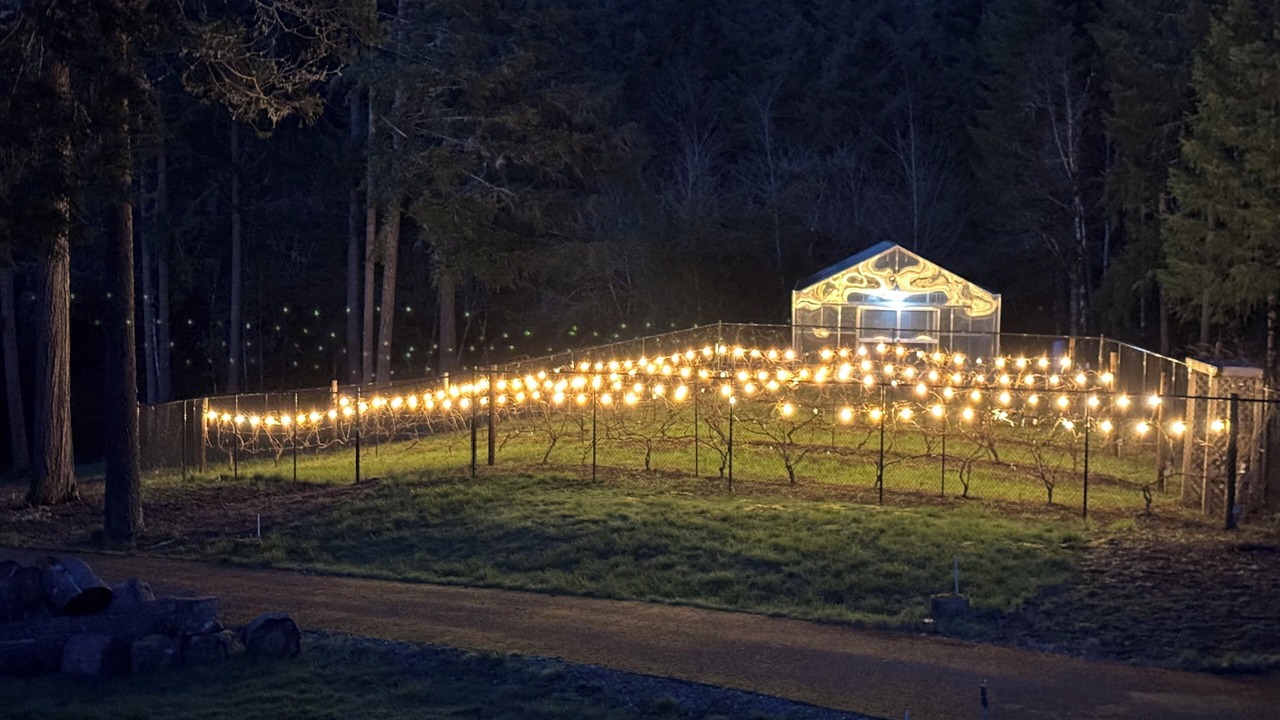 Photo of Others in Umpqua