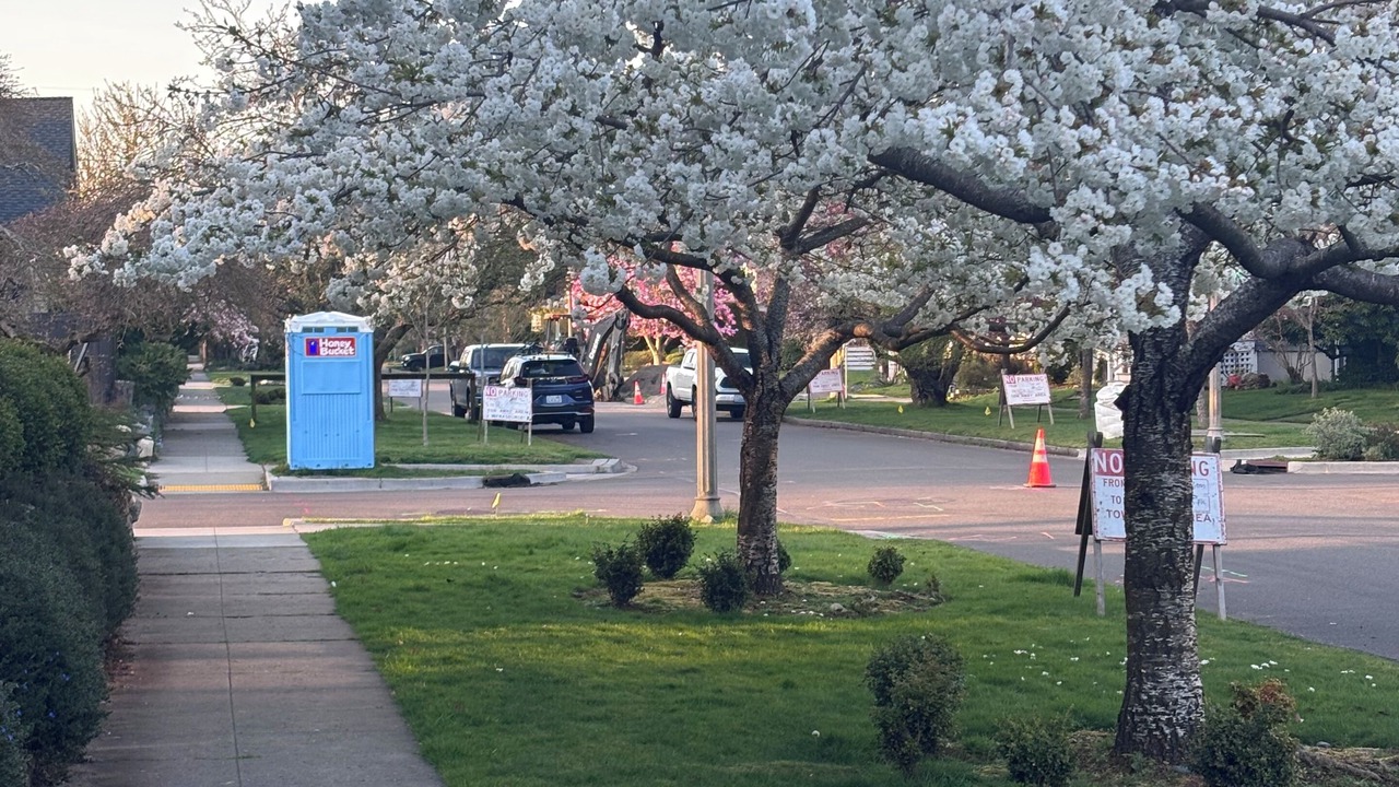 Photo of Outdoor in North End
