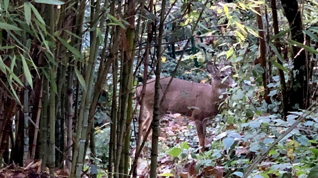 Photo of Others in Cedar Hills