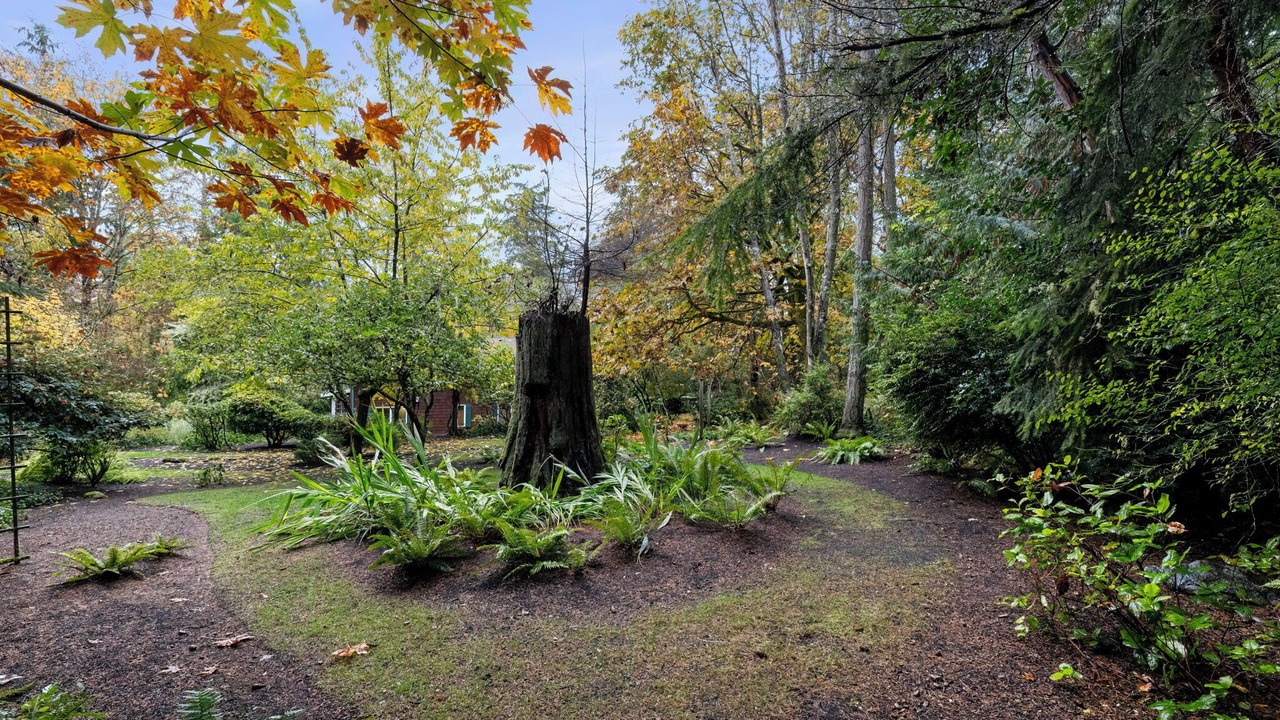 Photo of Outdoor in Rollingbay