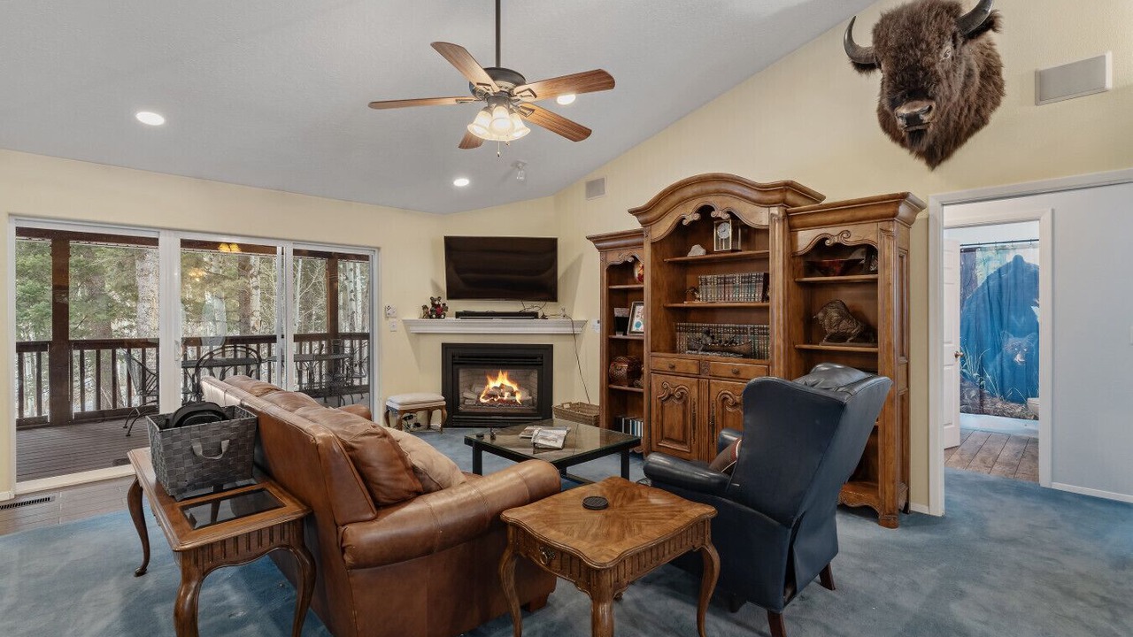 Photo of Livingroom in Island Park