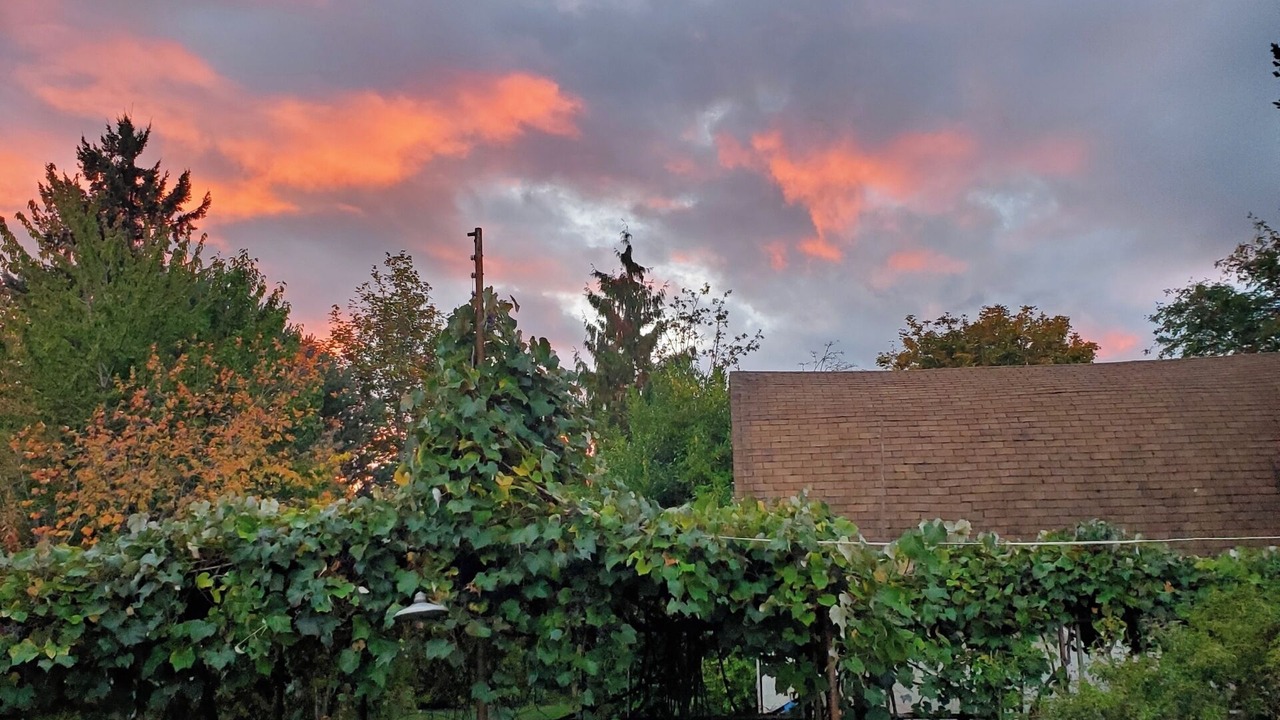 Photo of Outdoor in Starcrest