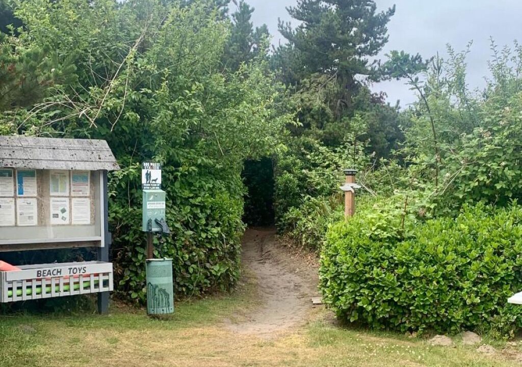 Photo of Others in Ocean Shores