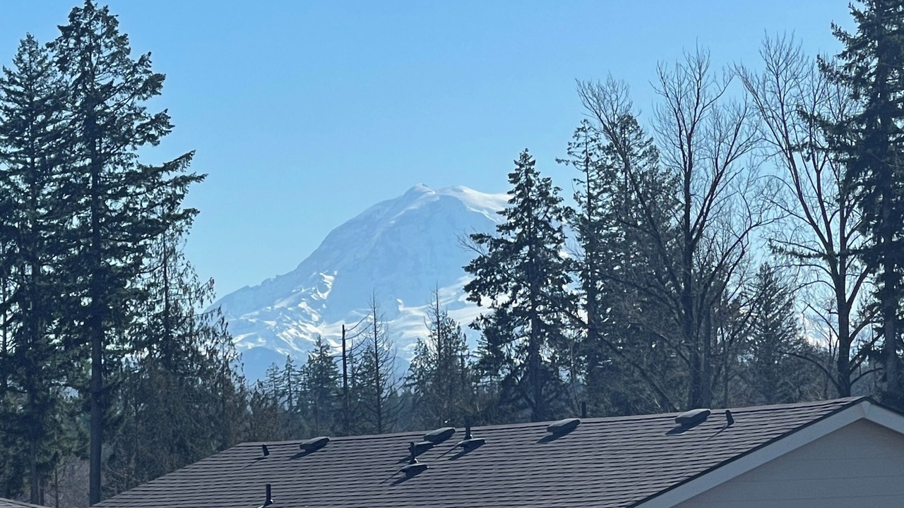 Photo of Others in South Hill