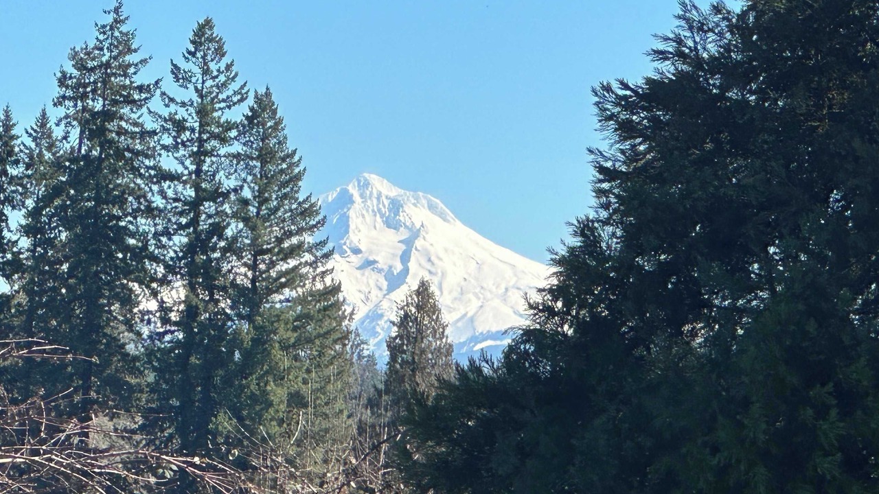 Photo of Others in Oregon City