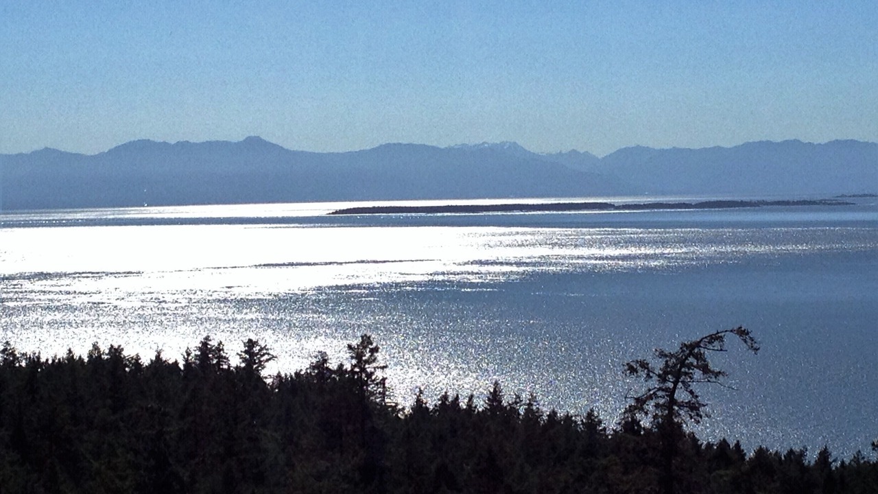 Photo of Others in Friday Harbor