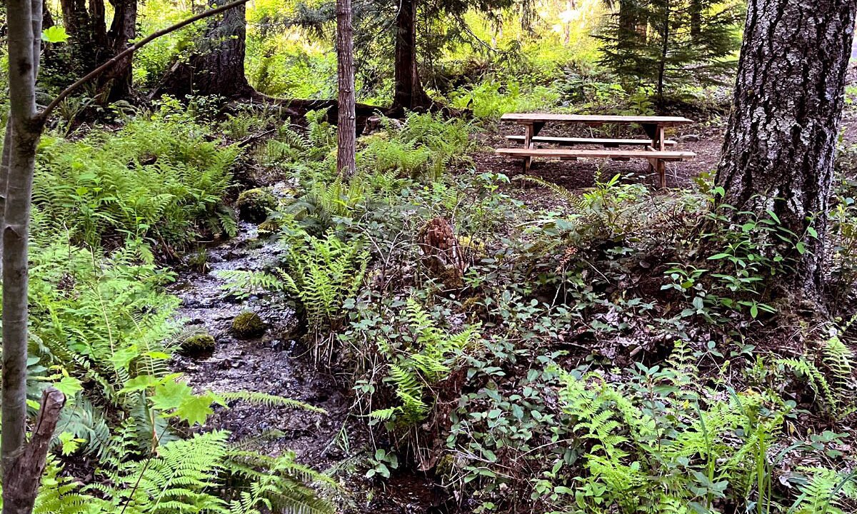 Photo of Others in Blue River