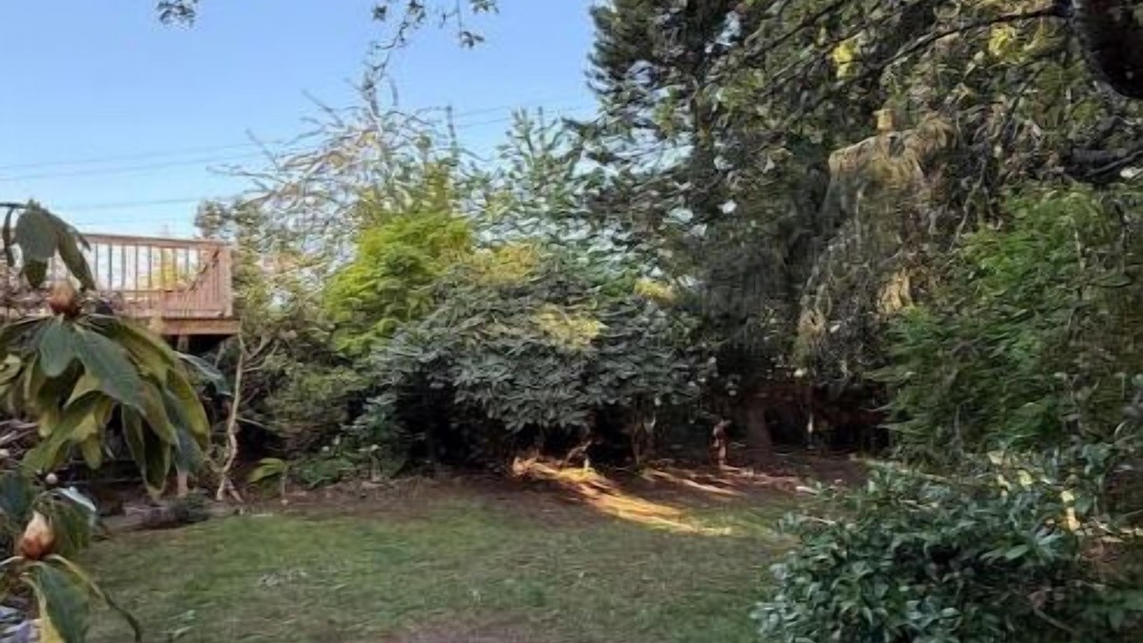 Photo of Outdoor in Shoreline