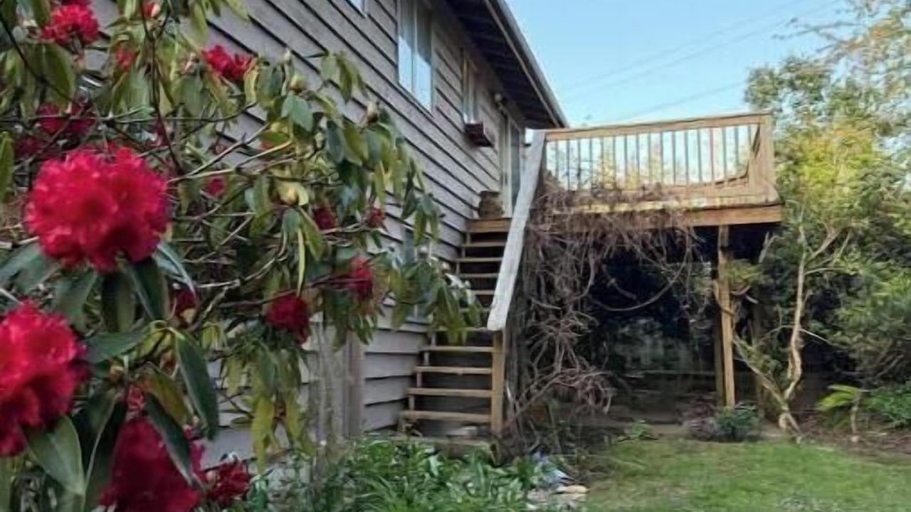 Photo of Outdoor in Shoreline